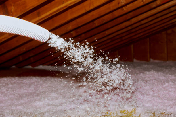 Best Blown-in Insulation in Alb, IA
