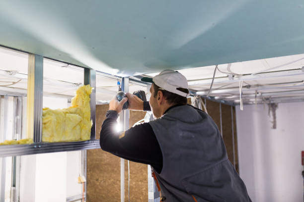 Best Spray Foam Insulation in Alb, IA