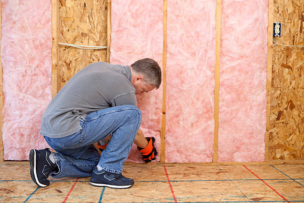Best Eco-Friendly Insulation in Alb, IA