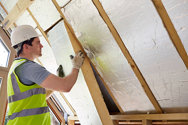 Best Geographic-Specific Insulation Services in Alb, IA
