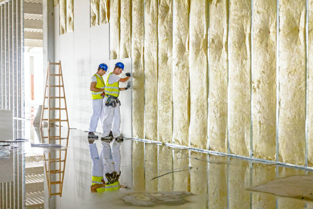 Best Insulation Maintenance and Repair in Alb, IA